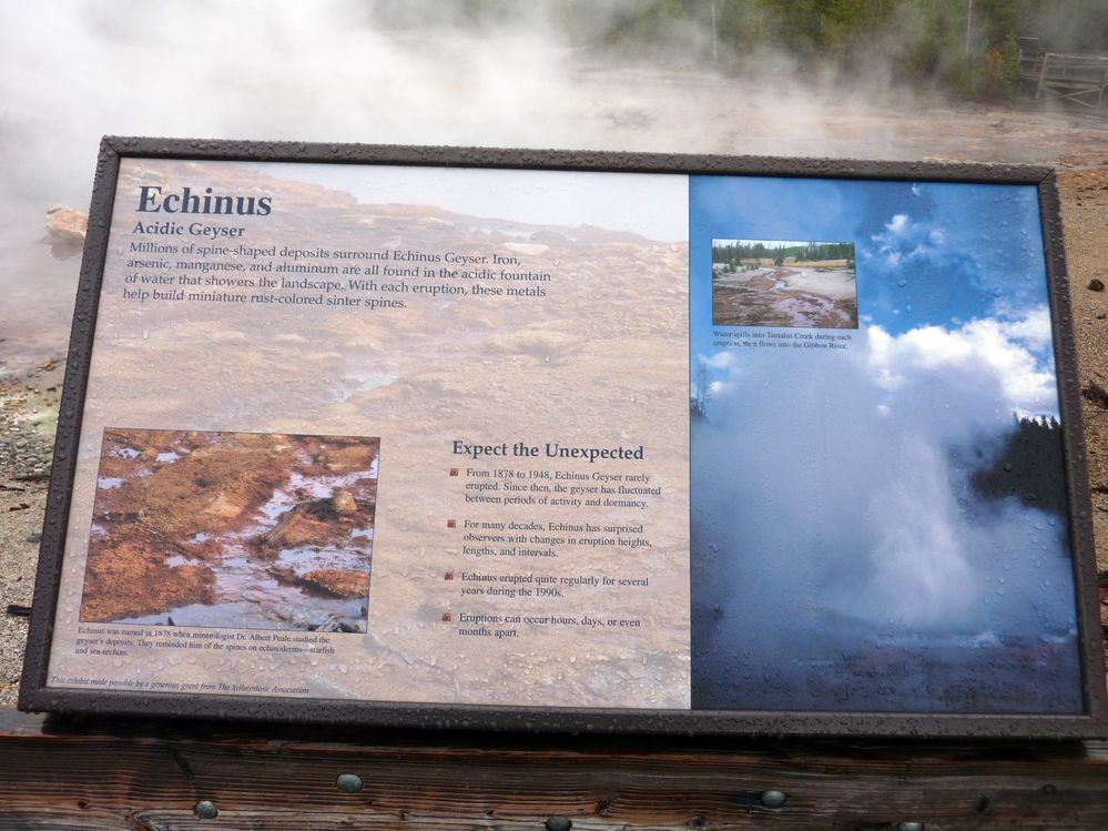 Yellowstone Norris Geyser (27).JPG